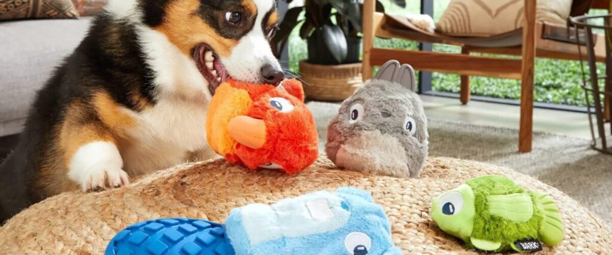 http://pet.myxl.uk/wp-content/uploads/2023/09/SLD5-dog-toys.jpg